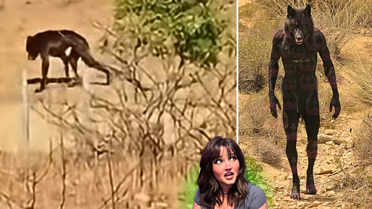 CHILLING Mysteriously Bizarre CRYPTIDS Caught On Camera 2026 - YouTube