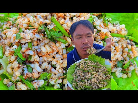 แหย่ก้อยใข่มดแดงสดๆ - ແຍ່ກ້ອຍໃຂ່ມົດແດງ # แหย่ใข่มดแดง #ก้อยใข่มดแดง #ใข่มดแดง #บัวไล