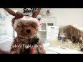Steiff reindeer teddy bear limited edition 021732