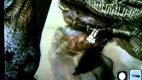 shadow of the collosus part 2 valus