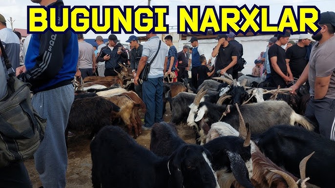 Sperma bilan qoplangan yuzning uy qurilishi fotosuratlari