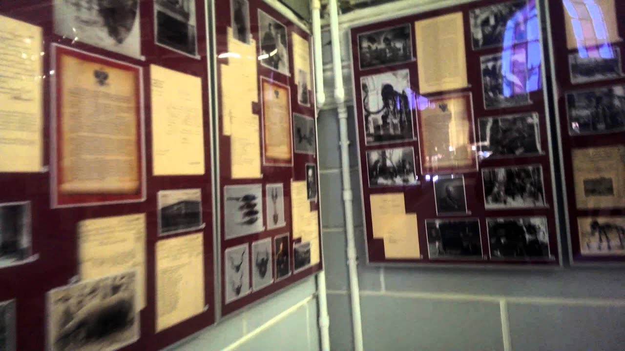 П445 - наконец... - день 15 - видео 10 - Немец опять офигевает в России