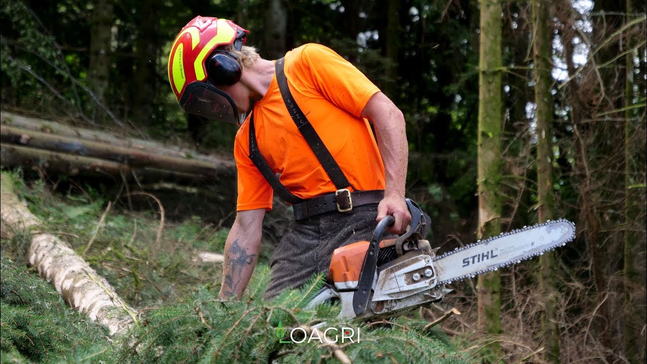 ABATTAGE & BÛCHERONNAGE MANUEL ! - YouTube