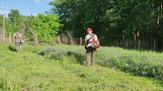 Villager BC2700 XCE Teszt I. Brushcutter/fűkasza & Stihl FS350 Nehéz munkában