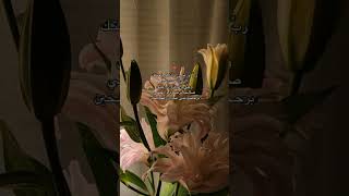 #الله #اكتب_شي_تؤجر_عليه #اذكر_الله #صبرو #الحمدلله #استغفر_الله #صلوا_على_النبي #اذكروني_بدعوه