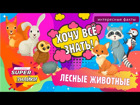 Лесные животные для детей /Животные леса/ Развивающие мультики/ Интересные факты/ Звуки животных