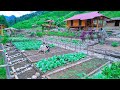 Celebrate Life Off The Grid! FLOODS, Harvesting Agricultural Products for sale | Sustainable Farm