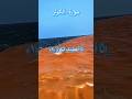 Surah Al-Kausar Tilawat | Heart Touching Recitation ❤️📖