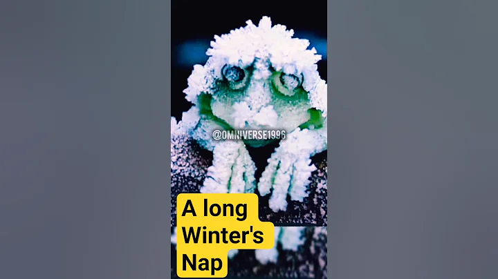 In Alaska,wood frogs can freeze solid for several months #frogs #frozen #trending #shorts
