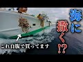 【投資2億6000万粒】買った稚貝を海へばら撒きます・・・｜増毛｜猿払｜