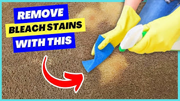 How to Remove Bleach Stains from Carpet (Fast & Easy Method)