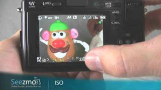 Panasonic GF1: Copy Guide