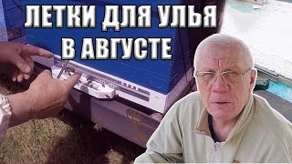 Август на пасеке Летки в ульях