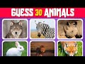 30 Animals Quiz 🐯🦁 | Can You Guess Them All in 10 Seconds? 🤯 | Quiz Pheonix