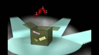 TRUE FACTS ABOUT THE GOLGI APPARATUS