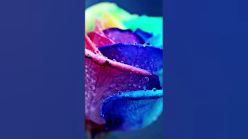 صدفه بتجمعنا وساعات بتودعنا انغام 