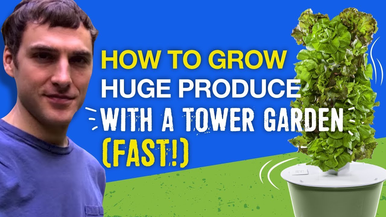 How To Grow Huge Produce Fast With A Tower Garden You
