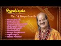 Raghu Nayaka  - Kadri Gopalnath Saxophone | Classical Instrumental
