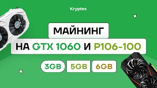 Сколько гигов нужно GTX 1060 и P106-100? Майнинг на разных версиях GeForce GTX 1060: 3GB, 5GB и 6GB