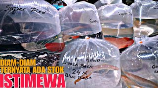 DIAM-DIAM TERNYATA ADA STOK YANG ISTIMEWA !!! UPDATE HARGA IKAN ARWANA DI JATINEGARA TERBARU by OmBen 512 14,089 views 8 days ago 16 minutes