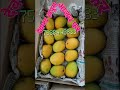 Orignal alphanso mango