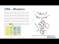 Sample Preparation for Sanger Sequencing