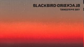 Vignette de la vidéo "Blackbird Blackbird - Star Faces"