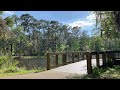 Best Florida Wildlife & Nature Hike I've Ever Taken! Deer & Alligator Encounter at Lake Tarpon