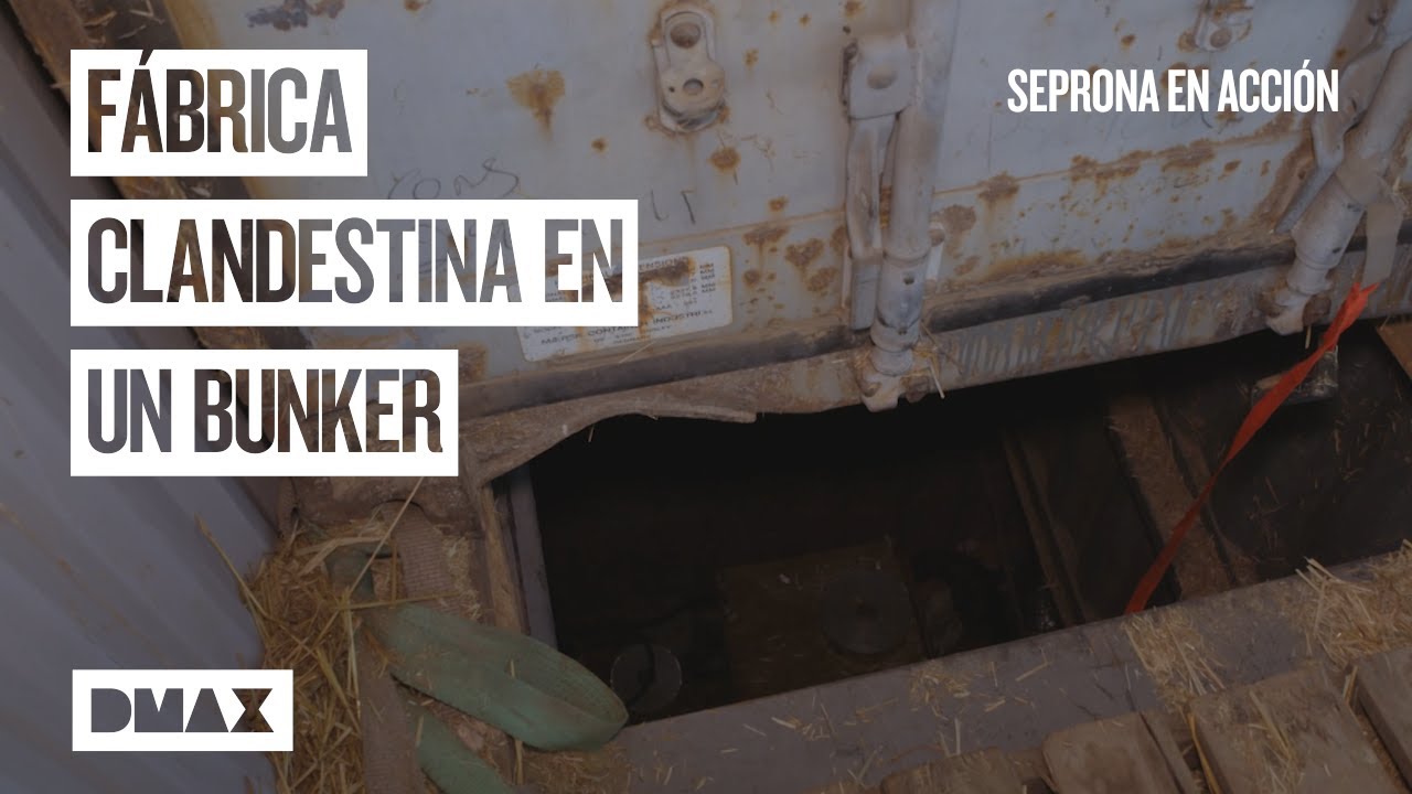 Una fábrica ilegal de tabaco y 60 kilos de mercancía ilegal | Seprona en acción