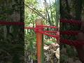 Smart Knot Used by Millions of People! 🔥 #knottying #ropetrick #outdoorskills
