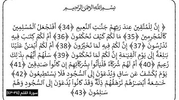 سورة القلم الآيات (34-43)