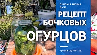 ЛУЧШИЙ РЕЦЕПТ! БОЧКОВЫЕ (СОЛЁНЫЕ) ОГУРЦЫ! ЛУЧШИЙ РЕЦЕПТ! БОЧКОВЫЕ (СОЛЁНЫЕ) ОГУРЦЫ!