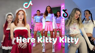 Here Kitty Kitty - New TikTok Dance Compilation