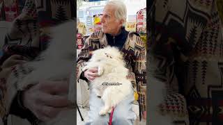 Princess Ultimate Pet Routines with Dad and Dolly | The Dodo  #thedodoanimals #dodoanimals