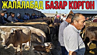 Эми Мал АРЗАНДАЙТ Эл Базарга Уйларды КОП ЧЫГАРЫШТЫ 07/06/2020