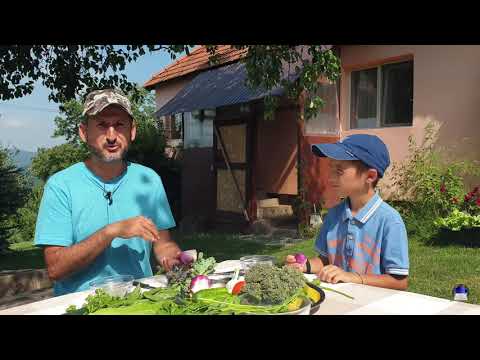 Video: Cum Să înveți Un Copil Să Mănânce