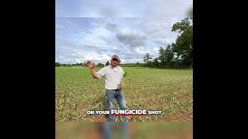 Field Day Plot Preview: Boosting Phos