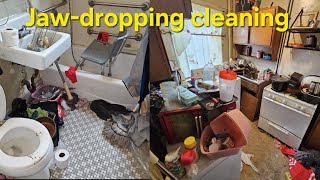 Rotten Food, Dead Mice and Satisfying Cleaning
