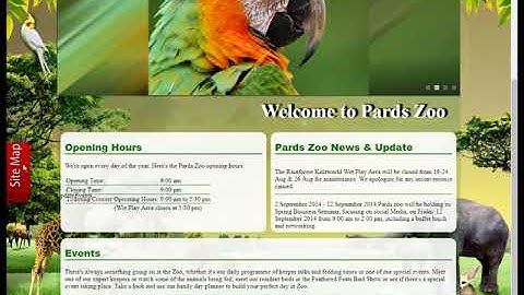 14  HTML and CSS Animated Project in Urdu