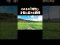 あなたの子の「短所」、実はすごい才能かも？彼の人生を変えた驚きのきっかけ。