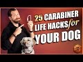 Best Dog Accessory? 25 Carabiner Life Hacks for Your Dog Best Dog Accessory? 25 Carabiner Life Hacks for Your Dog