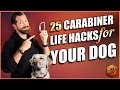 Best Dog Accessory? 25 Carabiner Life Hacks for Your Dog