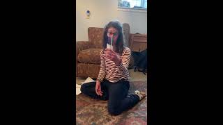 Paper Airplane Engineering Challenge