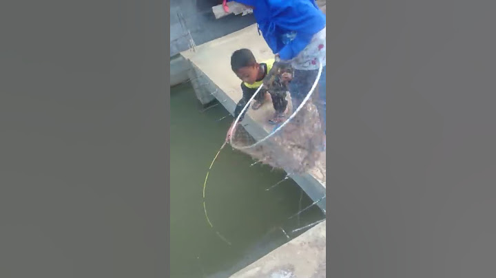 Bocil Mancing ikan mas besar....