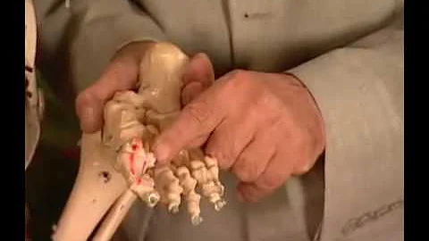 Jak nahradit mokré boty?