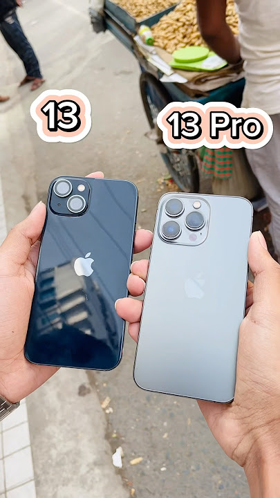 iPhone 13 Vs iPhone 13 Pro || Camera Zoom Test! #shorts