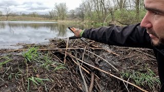 “BEAVERS OCEANIC MISTAKE” Beaver Dam Removal Unleashes Oceans Fury