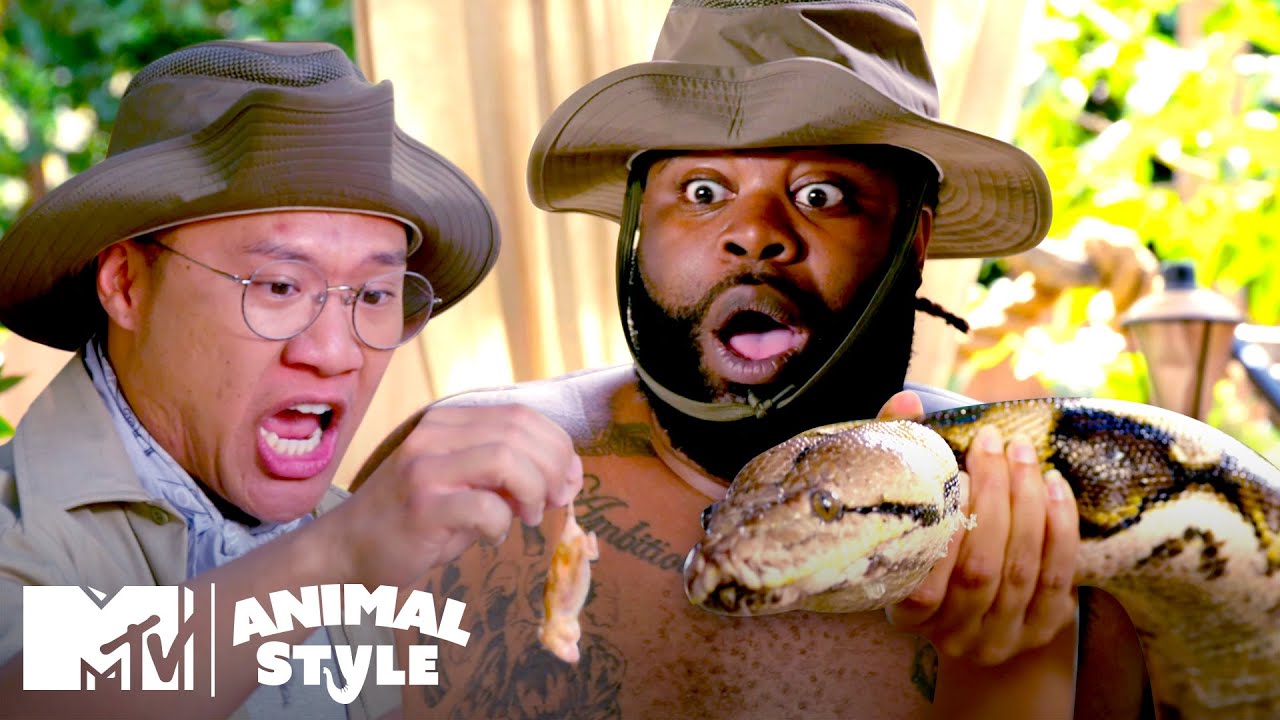 Bird Showers & A 350-Pound Python | MTV’s Animal Style Bird Showers & A 350-Pound Python | MTV’s Animal Style