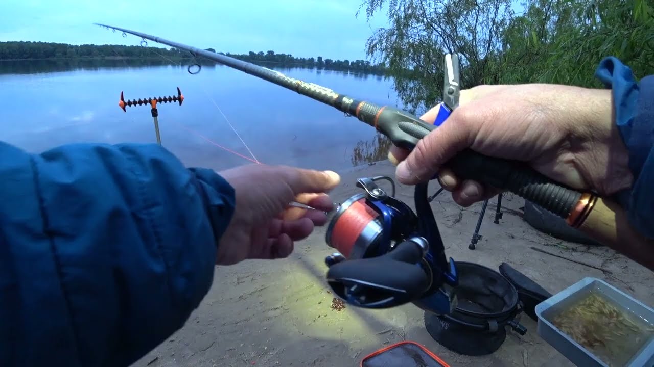 #рыбалка #фидер #лещ  Рибалка2024 ,Хітрий Лящ 🐟🐟🐟