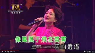 華娃丨鳳凰于飛丨情牽金曲百樂門演唱會 chords